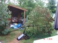 20100714164106
