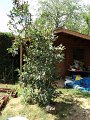 20100715141010