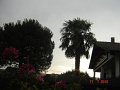 20100717181214