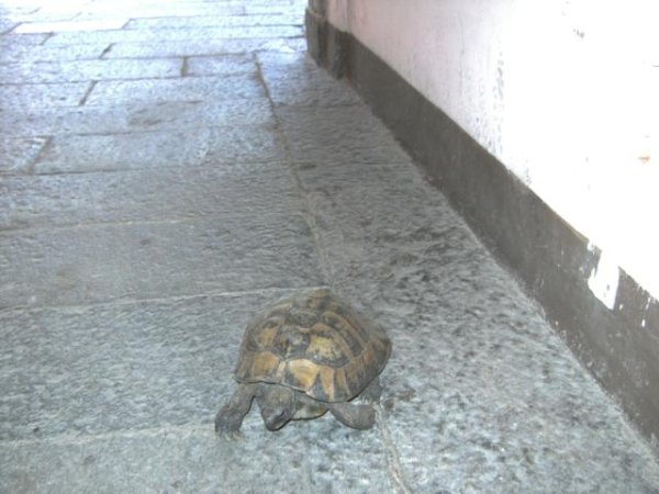 20100719134900.jpg