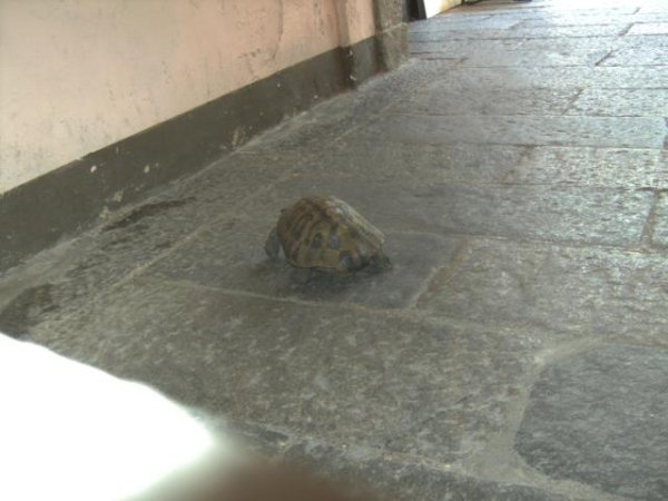 20100719134930.jpg