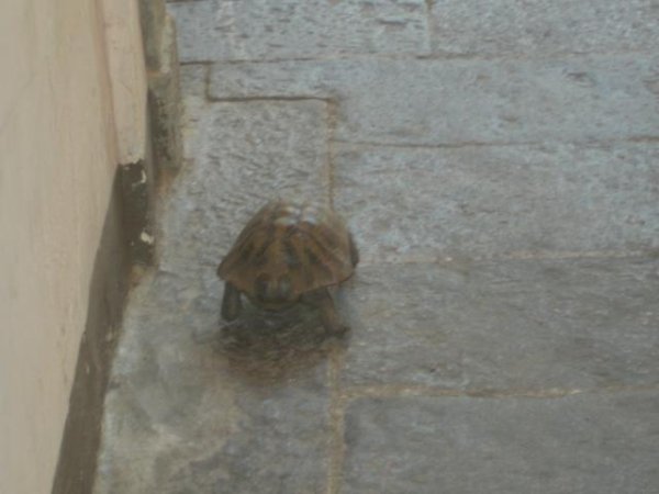 20100719135000.jpg