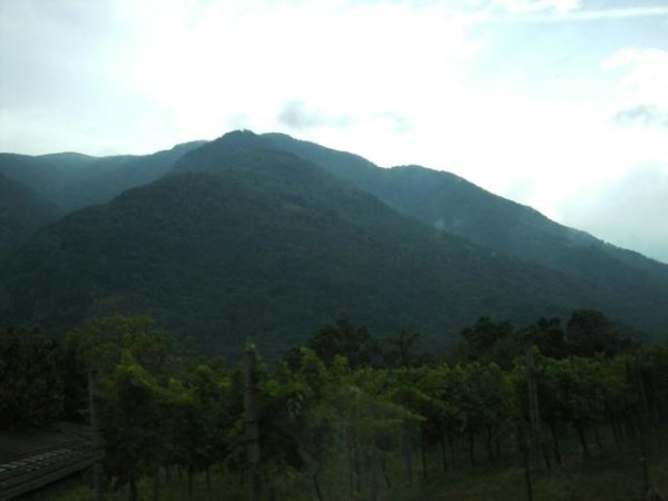 20100722170346.jpg