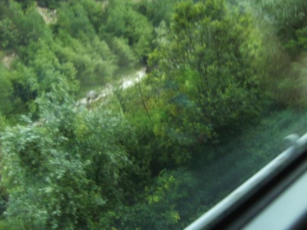 20100722174248.jpg