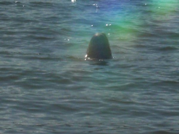 20100723171124.jpg